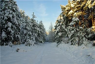 互动虚构角色扮演《红昏》上架Steam 试玩版已上线